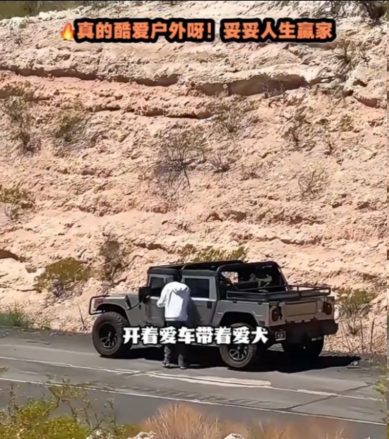 完全不存在, NwTUD, https